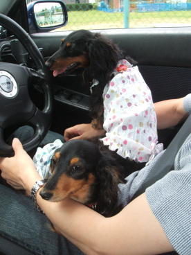 2008071601.JPG