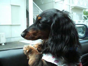 2008071602.JPG