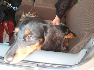 DSCF5714.JPG